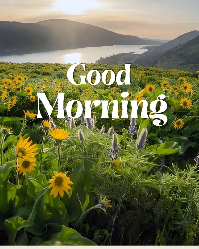 Good Morning Quotes in English | Daily Motivation — Good Morning Poster template