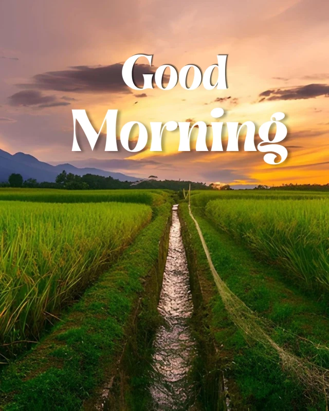 Good Morning Thoughts | Start Fresh and Stay Positive — Good Morning Poster template