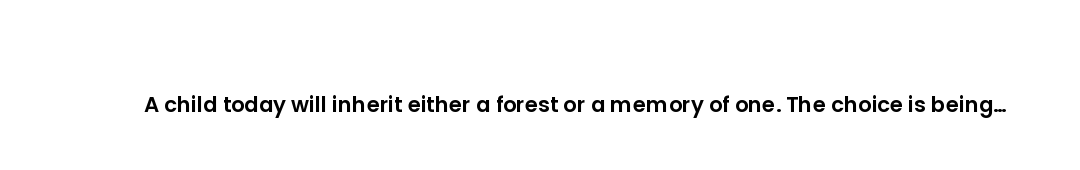 A child today will inherit either a forest or a memory of one. The choice is being made right now, i...