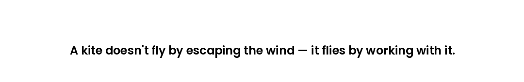 A kite doesn't fly by escaping the wind — it flies by working with it.