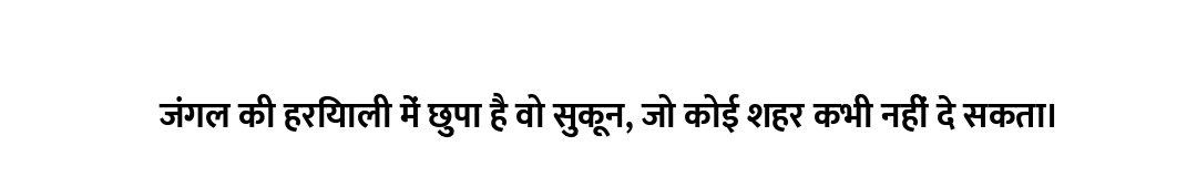 जंगल की हरियाली में छुपा है वो सुकून, जो कोई शहर कभी नहीं दे सकता।