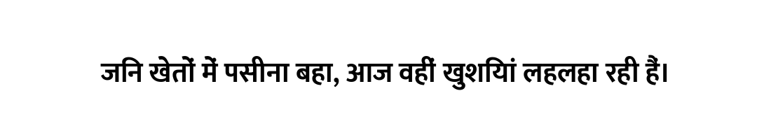 जिन खेतों में पसीना बहा, आज वहीं खुशियां लहलहा रही हैं।