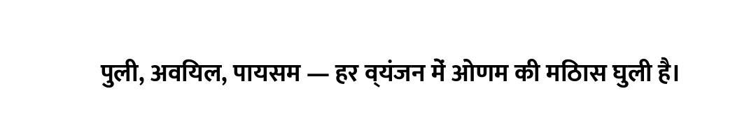 पुली, अवियल, पायसम — हर व्यंजन में ओणम की मिठास घुली है।