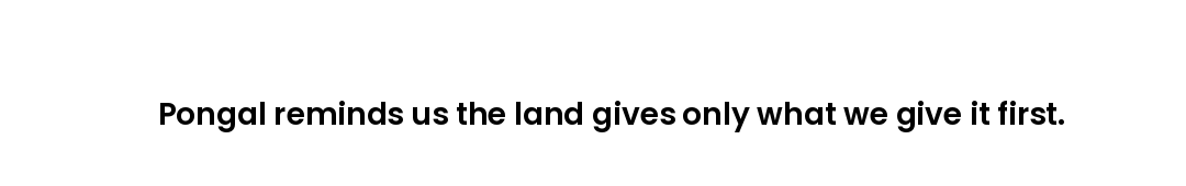 Pongal reminds us the land gives only what we give it first.