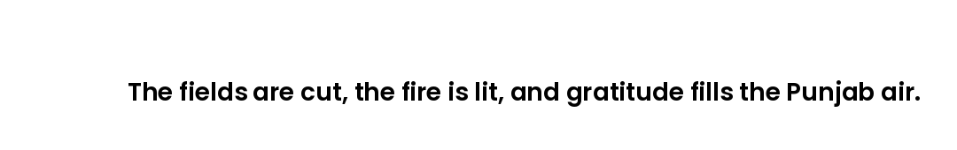 The fields are cut, the fire is lit, and gratitude fills the Punjab air.
