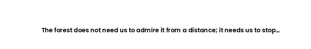 The forest does not need us to admire it from a distance; it needs us to stop taking more than it ca...