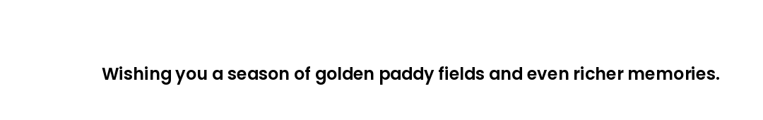 Wishing you a season of golden paddy fields and even richer memories.