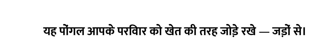 यह पोंगल आपके परिवार को खेत की तरह जोड़े रखे — जड़ों से।